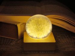 Stimmungslicht Pusteblume